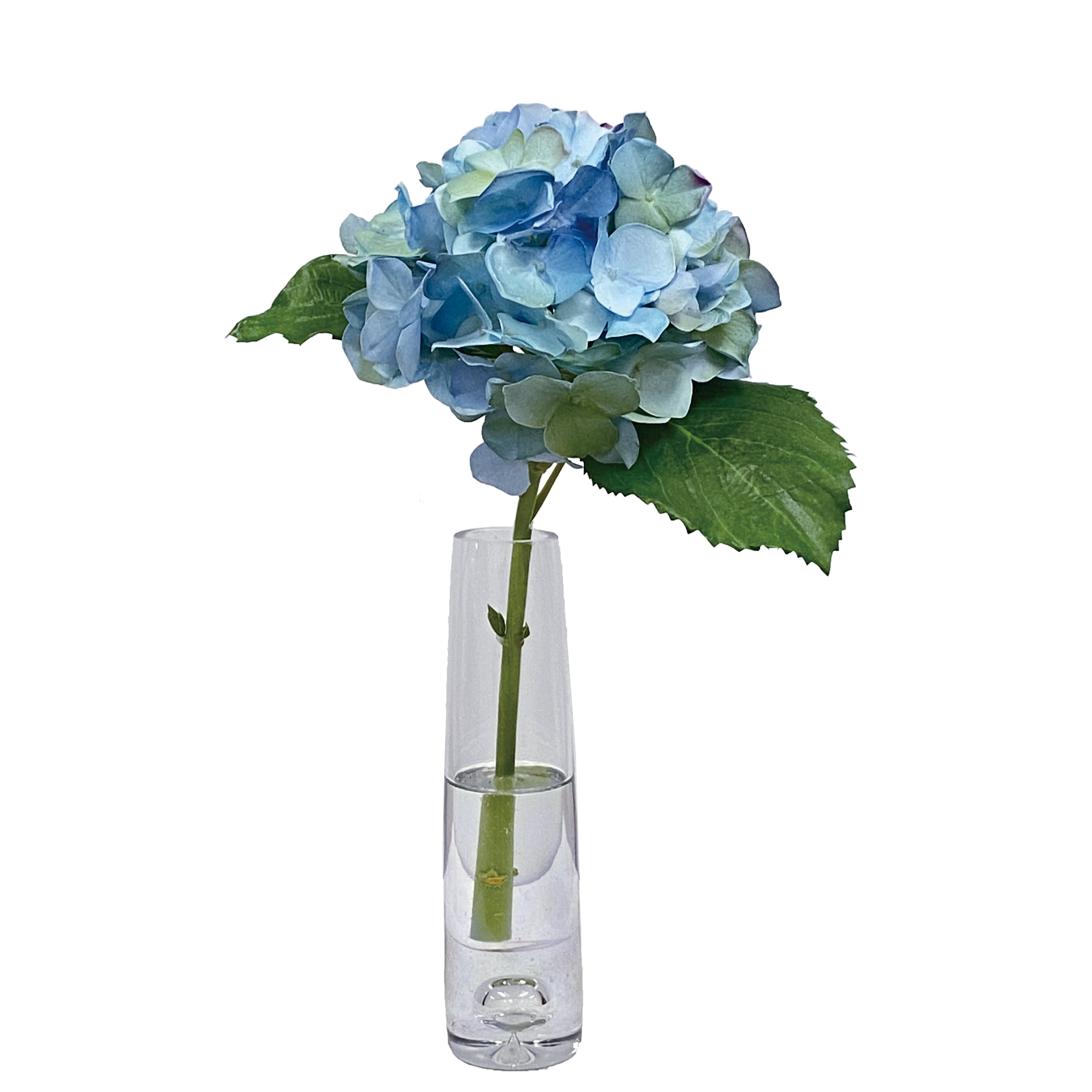 Hydrangea in Vase 18