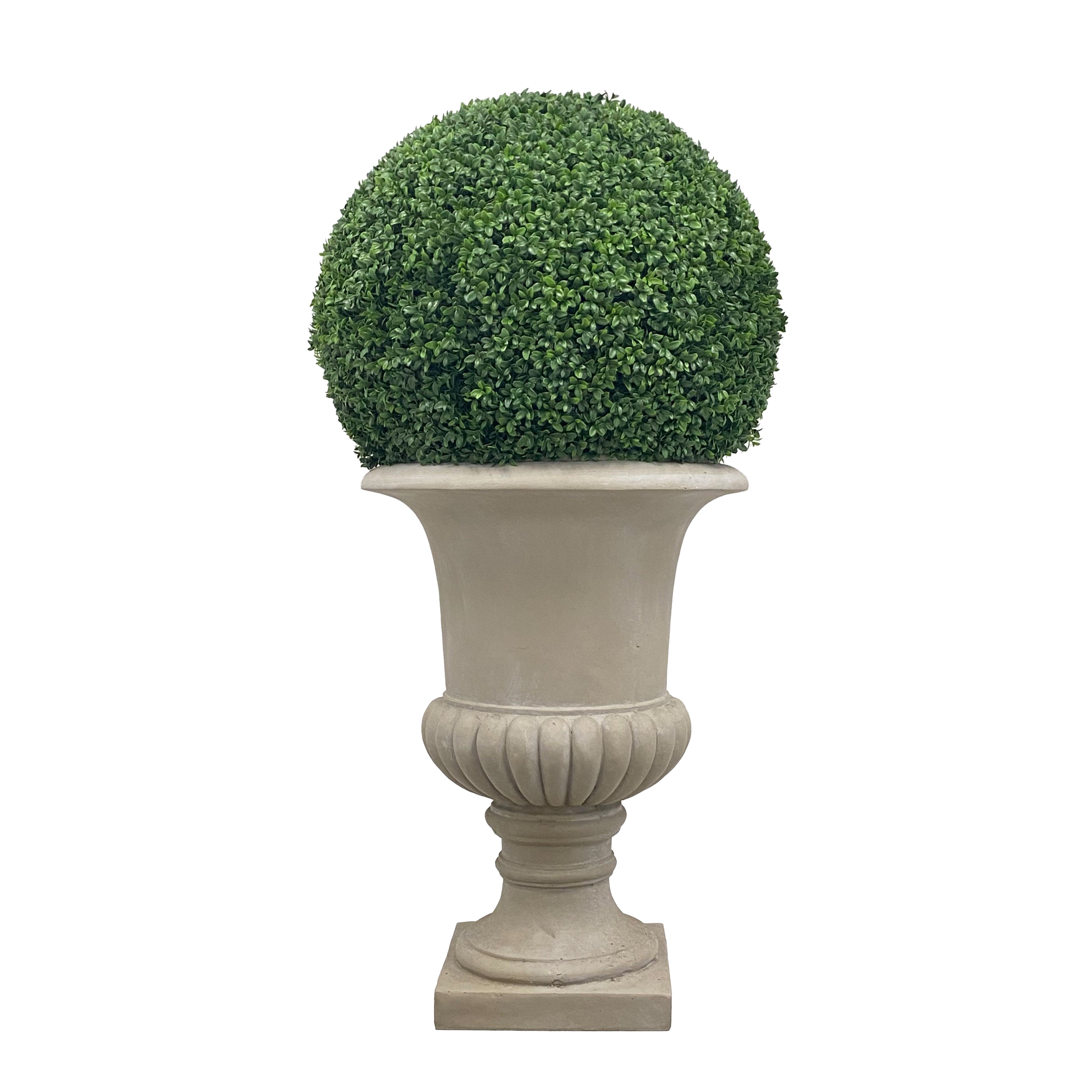 Luxury Artificial Boxwood In Urn 50