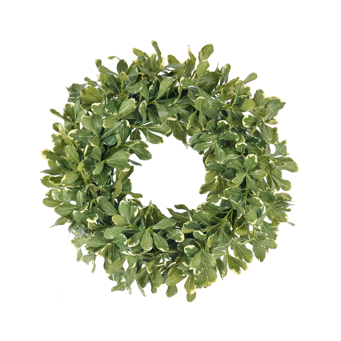 High-quality luxury faux pittosporum spray wreath home décor, 24-inch faux pittosporum spray wreath with lush green leaves, perfect for indoor and outdoor decor shown on white background