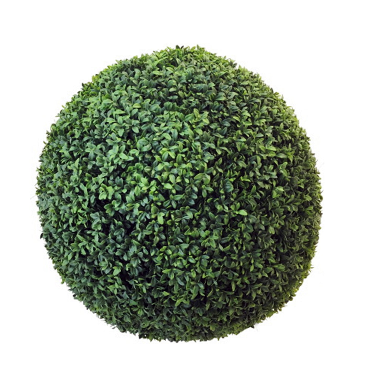 24-inch diameter faux boxwood green ball placed against white background