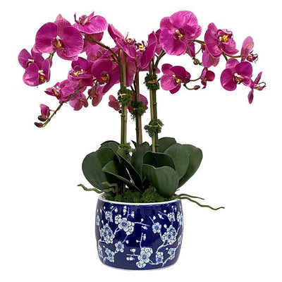 realistic high-quality faux orchids in porcelain planter