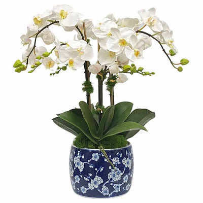 most beautiful and realistic faux orchid arrangement in porcelain planter