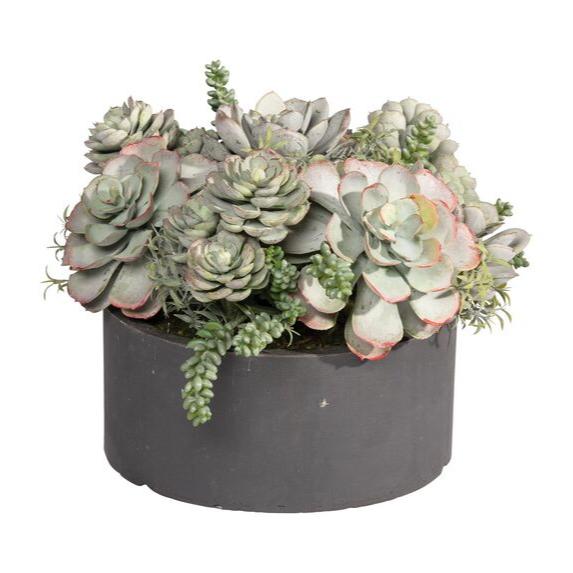 Realistic faux mixed succulents arranged in a dark gray low round matte planter against a white background