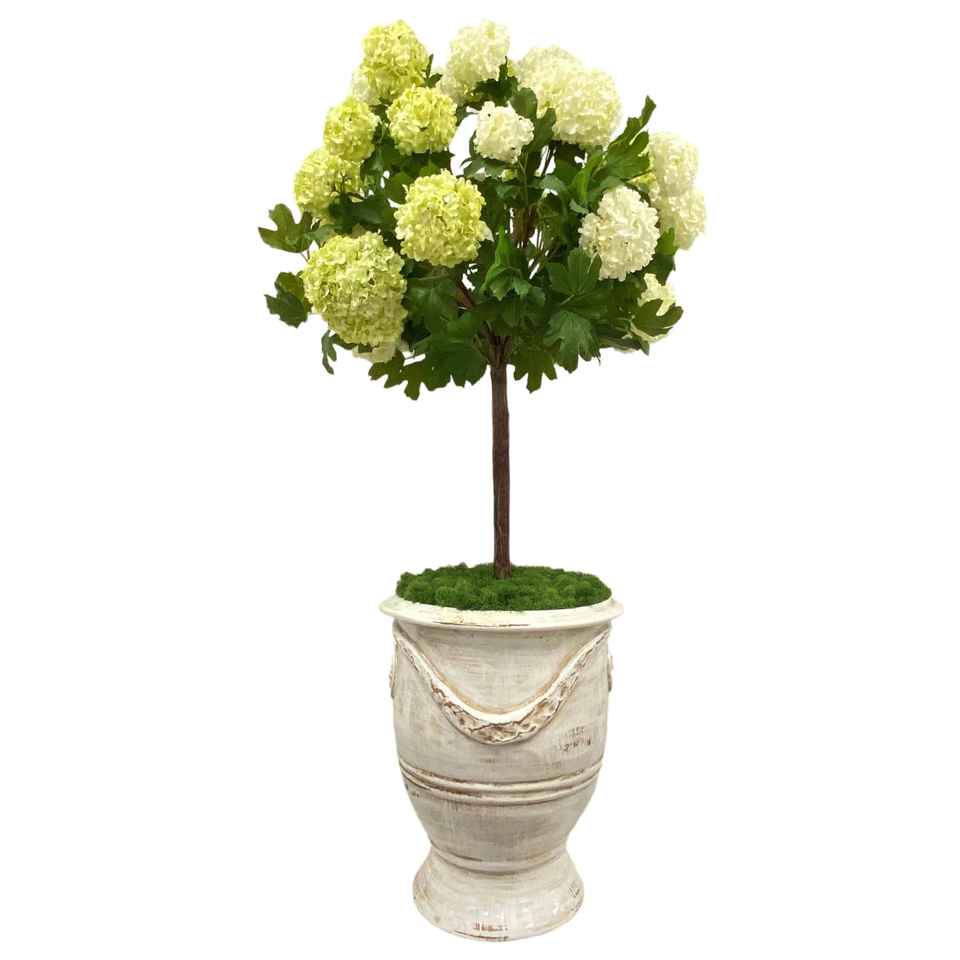 Snowball in Rutherford Planter 49"