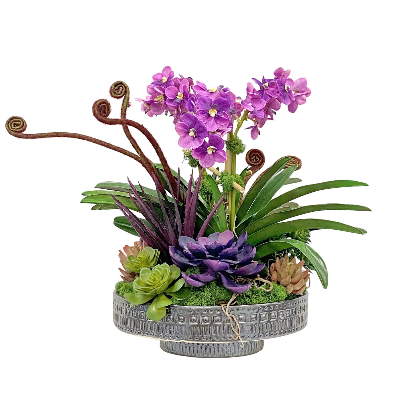 High-quality faux Vanda purple orchid succulent arrangement in a terracotta planter, placed against white background