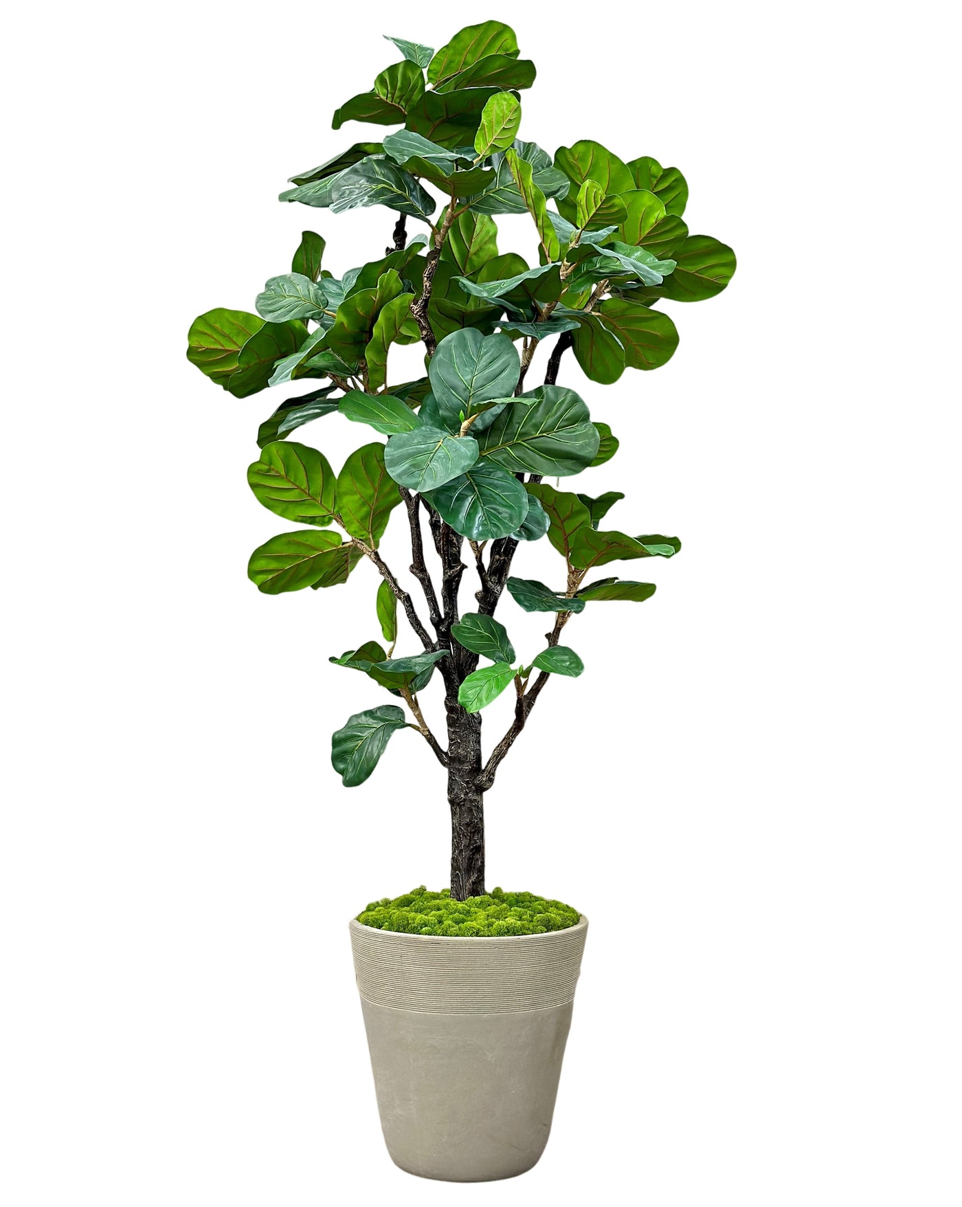 High-quality luxury faux Fiddle Leaf tree in Planter