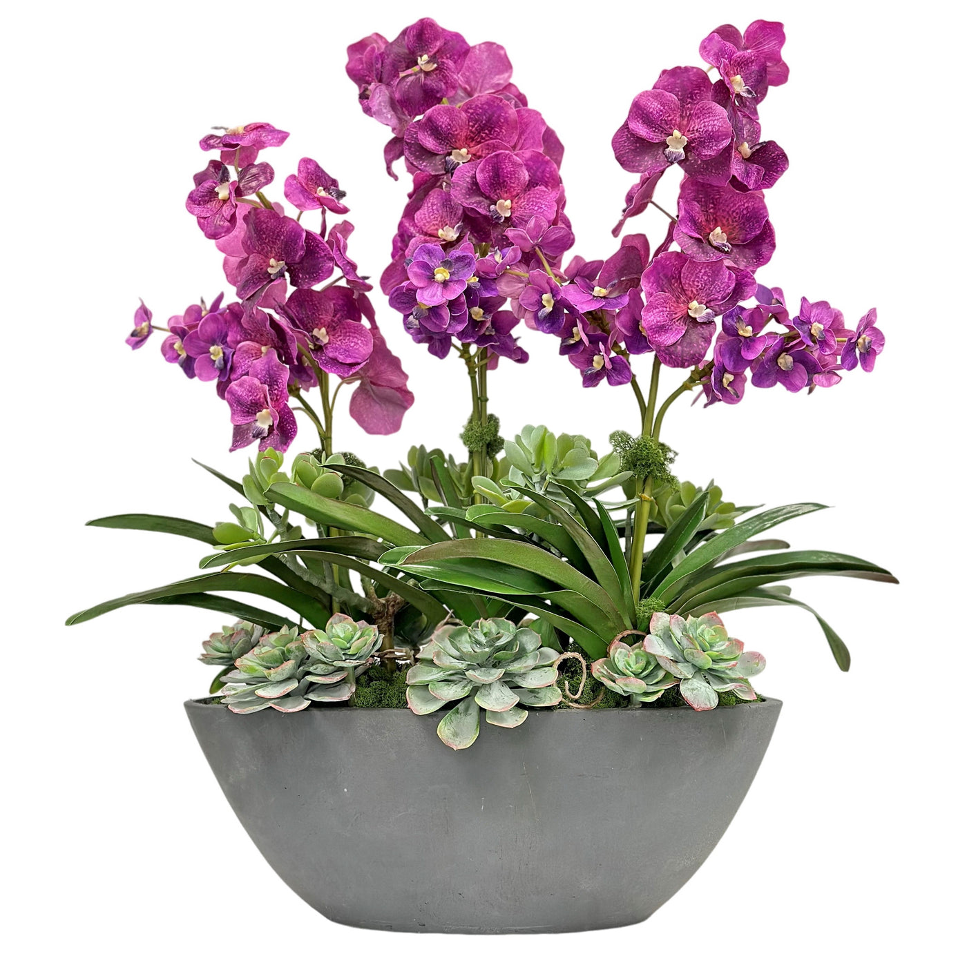 High-quality luxury faux purple hued Vanda orchid floral arrangement in grey oval pot with succulents against white background.