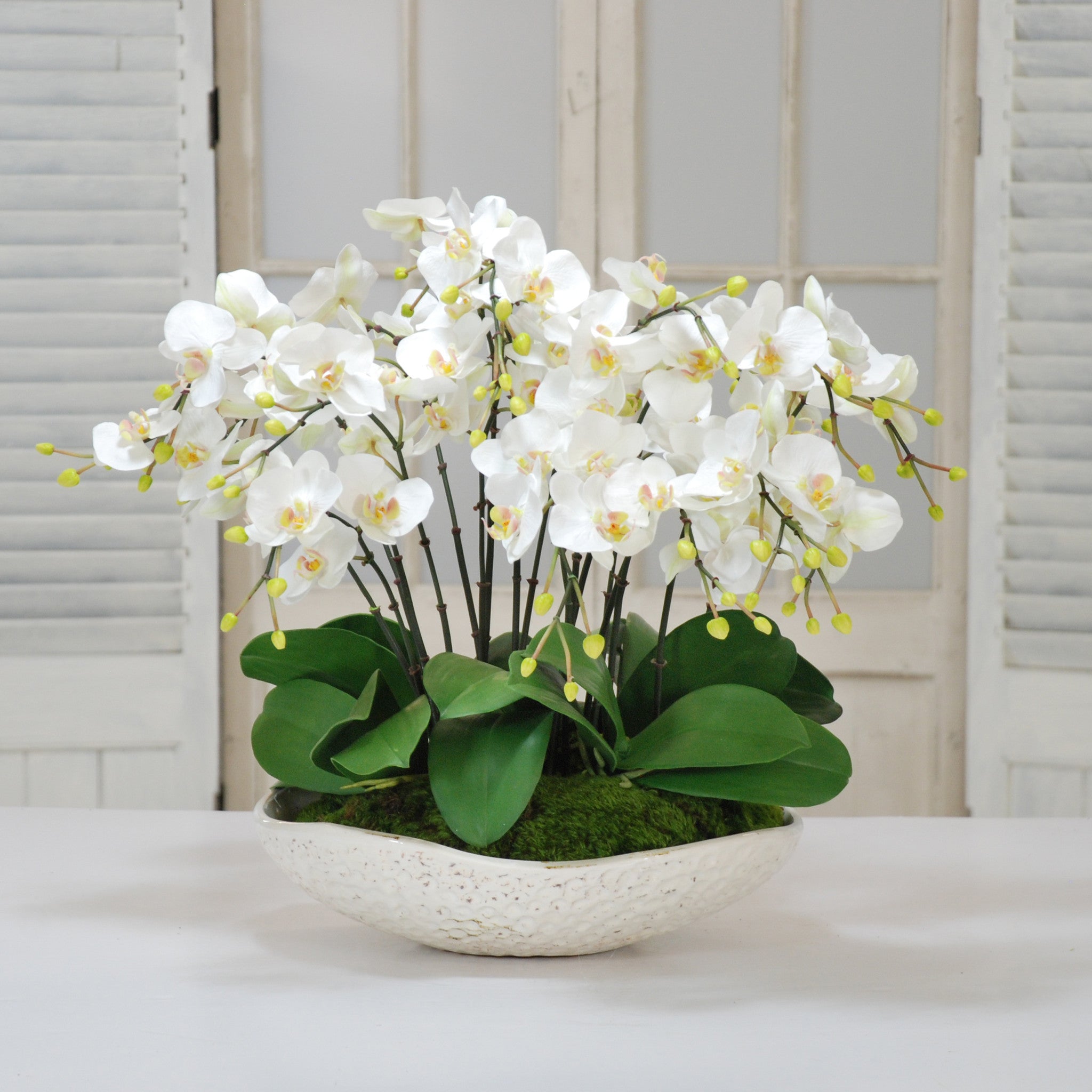 White Orchids in Durian Bowl 24