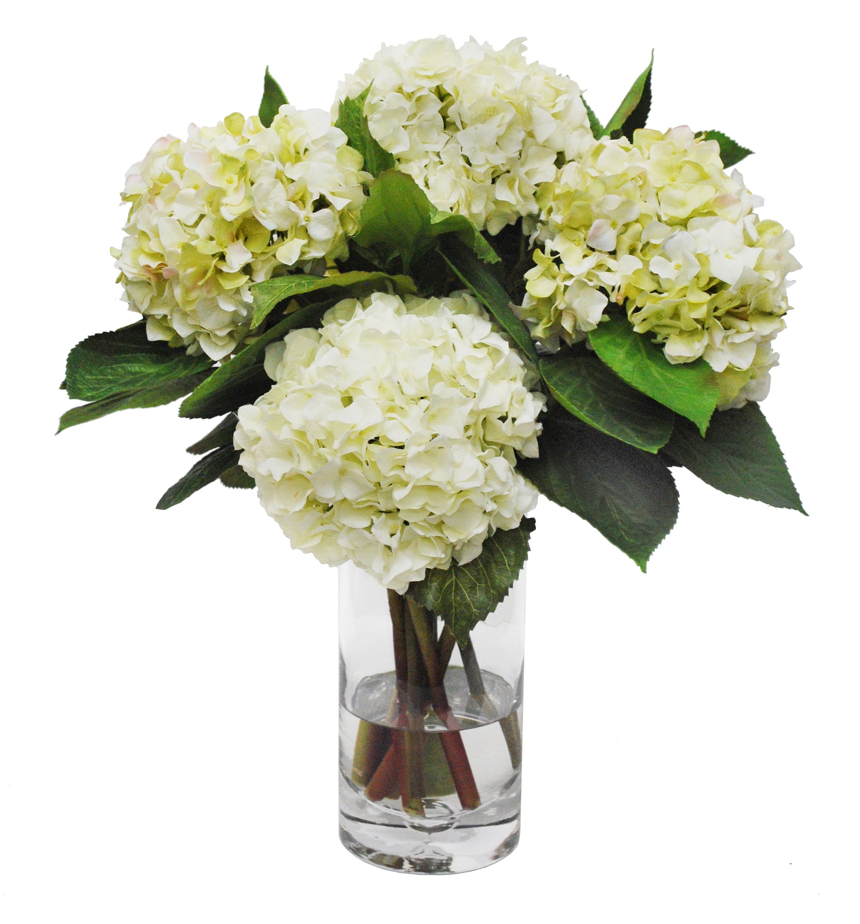 HYDRANGEA IN GLASS VASE (WHD164-WHGR) | Winward Home