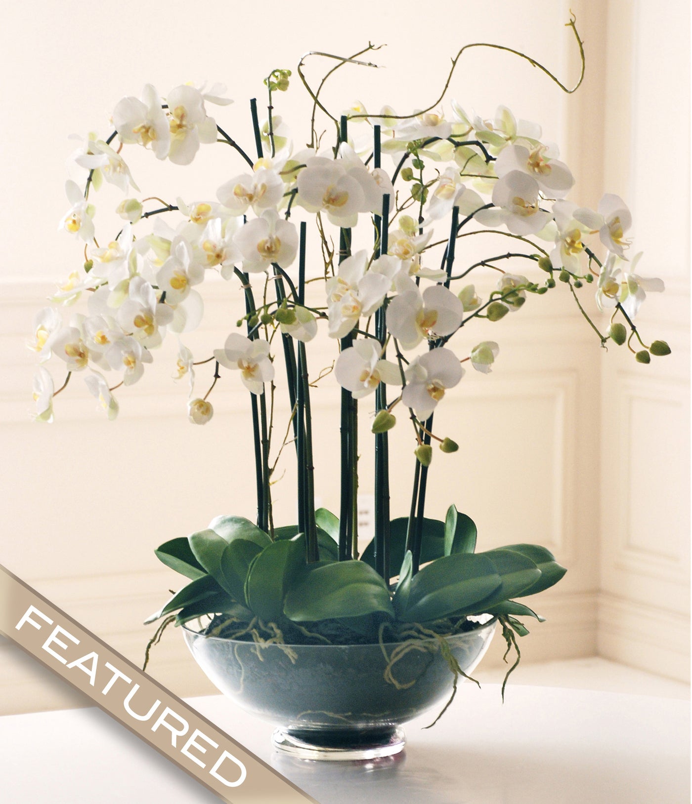 Elegant Delicate White Orchid Flower Pins - White (Set of 2)