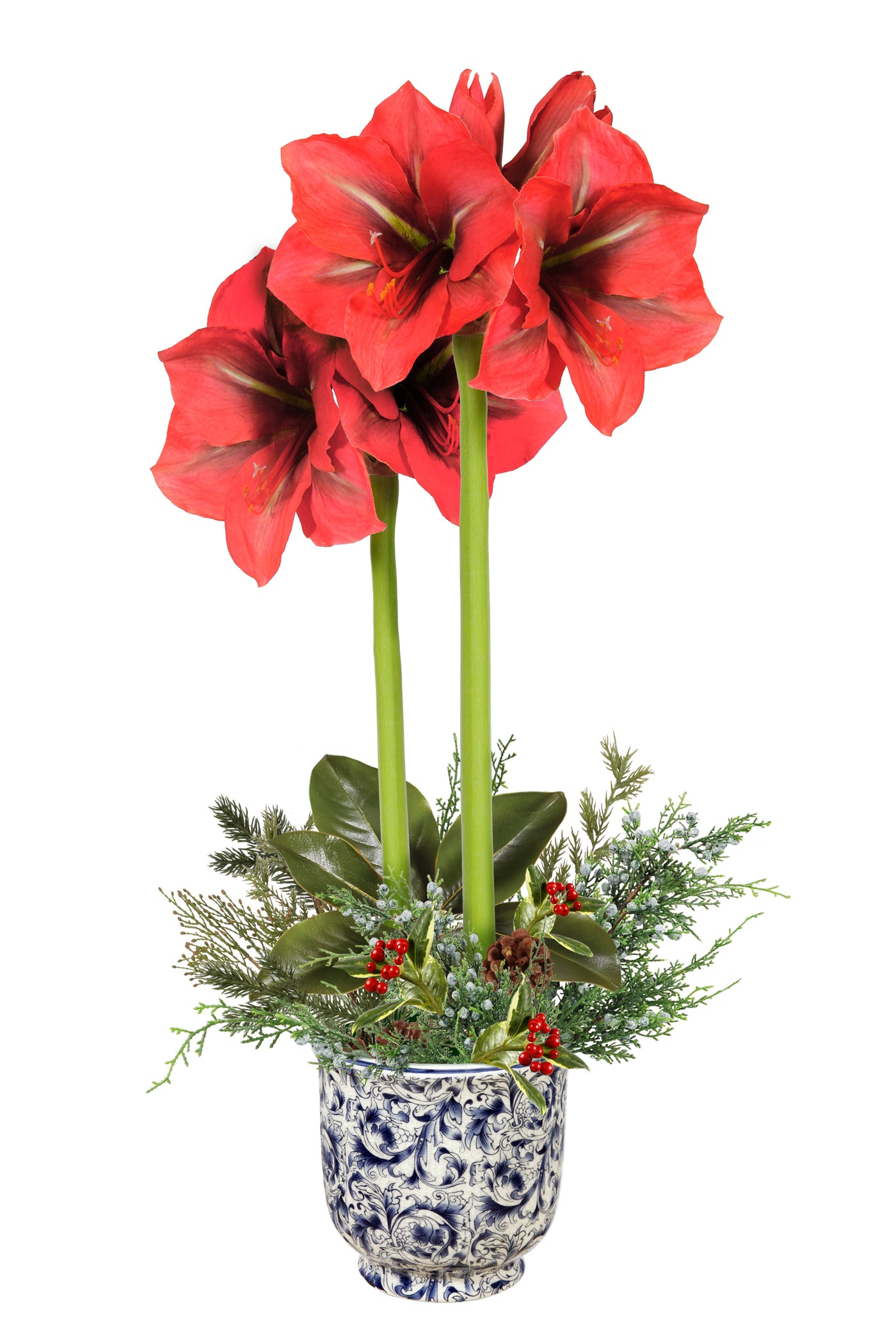 Red amaryllis arrangement placed in porcelain pot with blue painted details placed against white background